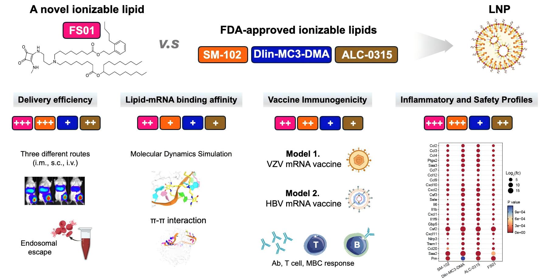 有效性和安全性兼顾的新型可电离脂质材料