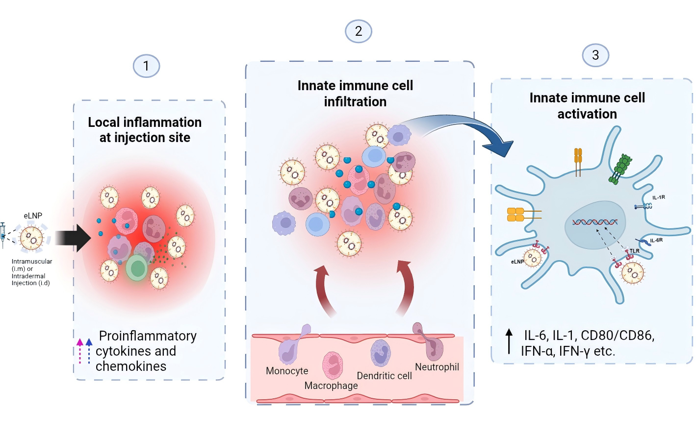 团队发表LNP佐剂效应综述